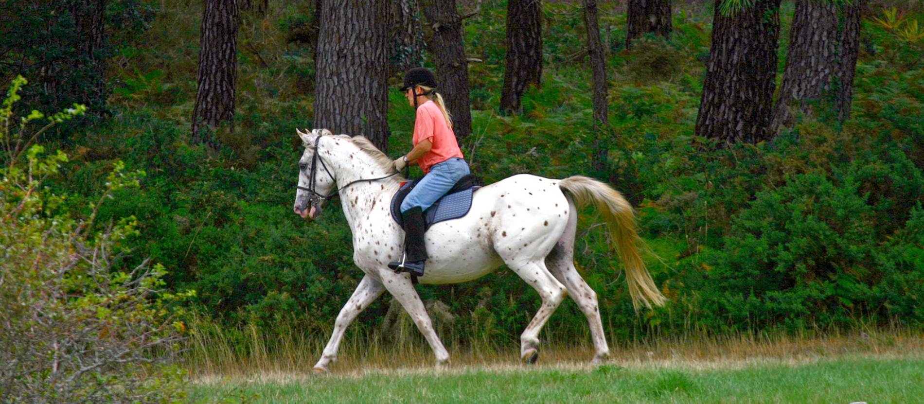 L'Equibreizh, la Bretagne à cheval © Morbihan Tourisme