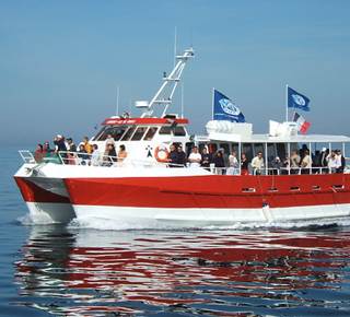 Compagnie Maritime Escal'Ouest - Lorient Bretagne Sud