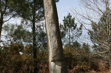 Menhir Quenouille de Gargantua la Croix Pin